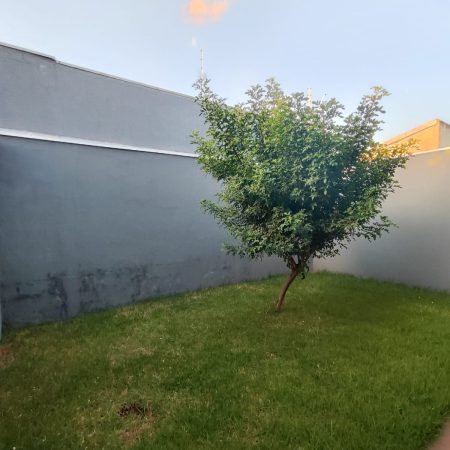 bairro 11